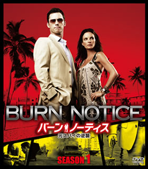 Burn Notice TV Series 20072013 - IMDb