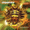shpongle  NOTHING LASTS...BUT NOTHING IS LOST