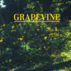GRAPEVINE /  / COME ON [CD+DVD] [][]