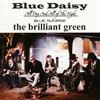the brilliant green  Blue Daisy