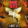 MR.BIG  ۥåȡա