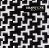 GRAPEVINE  Best of GRAPEVINE 1997-2012