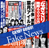 CANDY GO!GO! / Fake News(TYPE-B)
