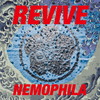 NEMOPHILA / REVIVE [CD+DVD] []