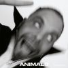 å롢ǿANIMALS٤λİȡ٥ȳ