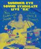 Summer Eye/Summer Eye Sound Syndicate ǯñȸ [Blu-ray]