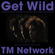 TM NETWORKGet Wild30ǯǰ12inchʥפ꡼