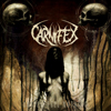 ǥǥCARNIFEX˥塼Х꡼