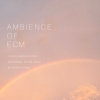 ECM쥳ɡܽΥӥAmbience of ECMפ򳫺