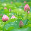 Gotchб顡ܤȲڤΤʥեLotus music  book cafe 21ӳ