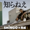 SHINGOδܰڤȴܰåסɤˤʡΤͤפ꡼MV