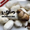 SHINGO̵ʤɤäɤɤȤ᤿ʡ֤ӤġMVۿ꡼