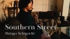 ظ󥴡˥塼ХSouthern StreetMV