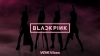 BLACKPINKΥǥ륳쥯֥ȯ