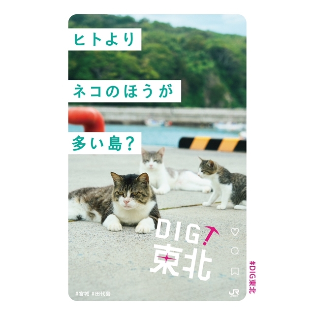 JR東日本「DIG!東北」のCMソングが気になる!