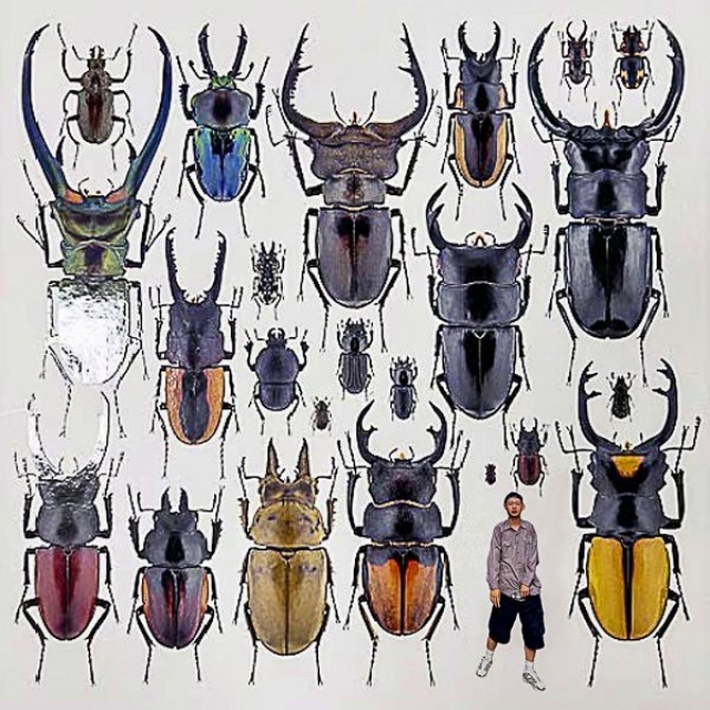 巷で話題の昆虫ラッパー“昆虫はすりんぐ”、ニュー・シングル「IISELECT INSECT」リリース