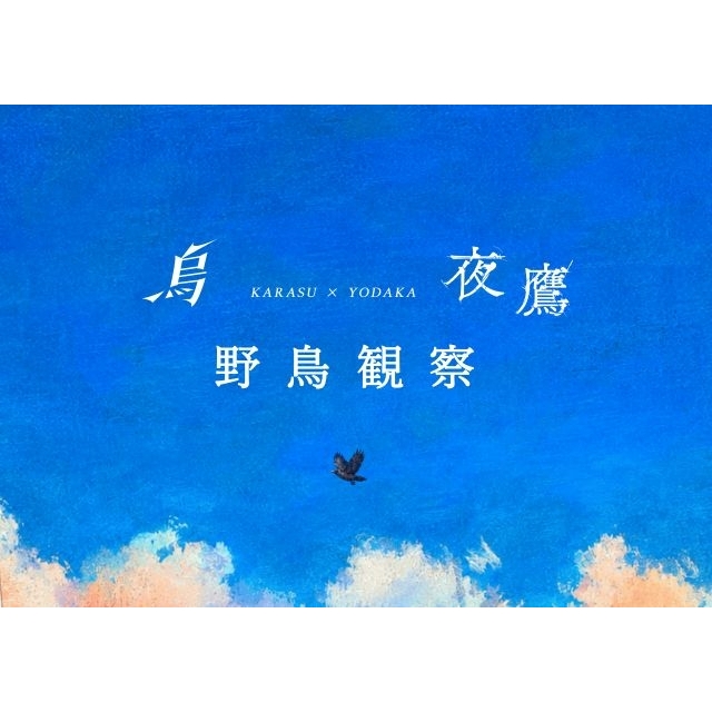 米津玄師、「烏×夜鷹 野鳥観察」特設サイト公開 2曲がひとつの空で巡り合う
