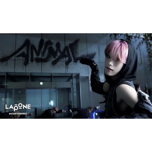 JO1、全米デビューEP『ANIMAL』タイトル曲のMV公開